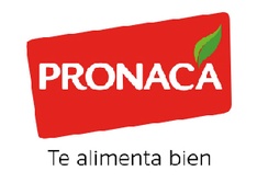 Logo Demo